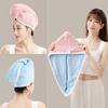 Waterproof Towel Hair Wrap Soft Coral Fleece Double Layer Absorbent Hair Care