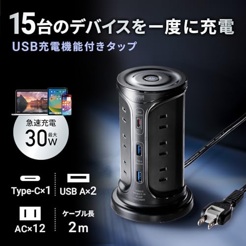Sanwa Supply Tower-Style Power Strip with 12 AC Outlets, 2 USB-A Ports, and 1 Type-C Port, 2m Length, and a Centralized Switch, Black, TAP-B112C1A2BK