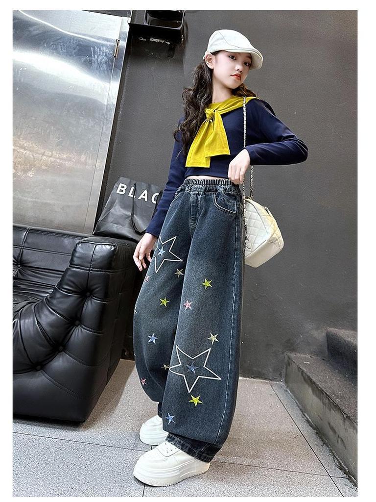 Women's 2025 Autumn Retro Star Embroidered Wide-Leg Jeans