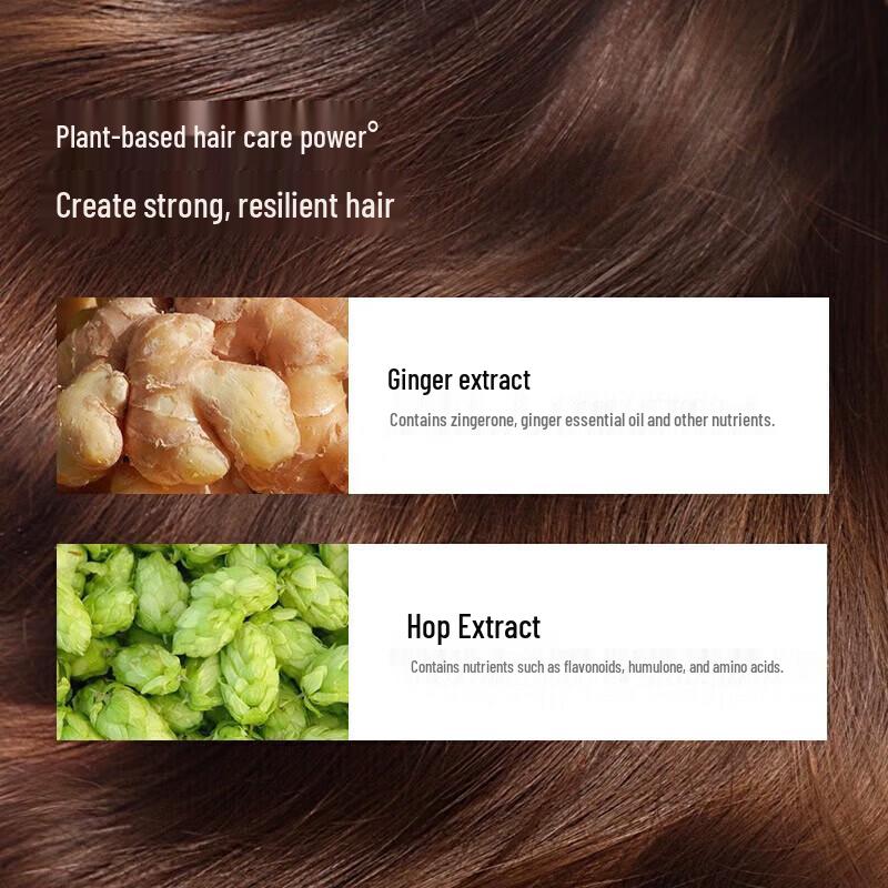 Fong Hwa Ginger Hair Strengthening Shampoo