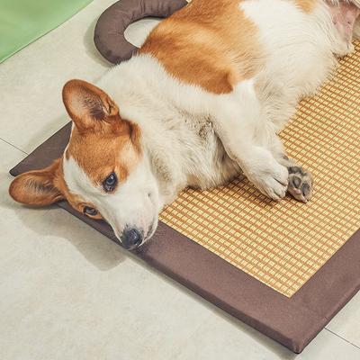 Produtos para animais – Tapetes para animais