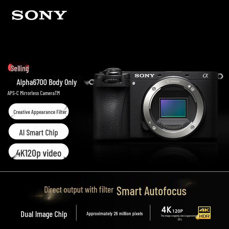 Sony Alpha 6700 APS-C Mirrorless Camera (CN version)