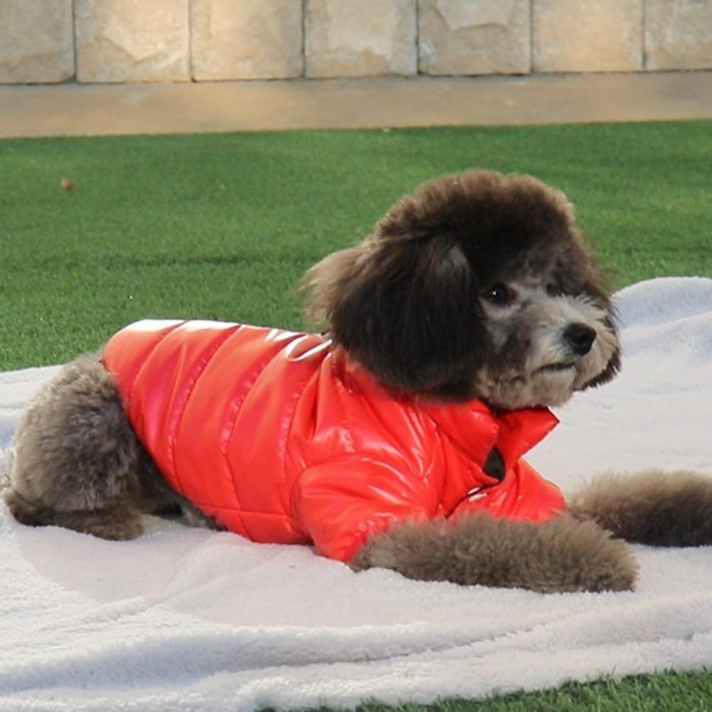 Thicken Winter Dog Clothes Windproof Pet Coat Outfits Puppy Jacket Clothing  French Bulldog