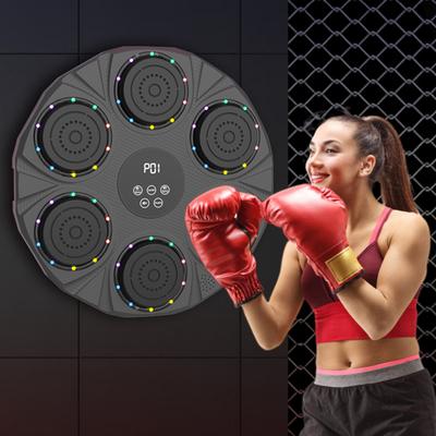 Boxning och kampsport – Boxningssäckar