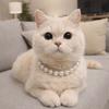 Adjustable Pet Pearl Necklace Simulated Pearl Pet Simulated Pearl Collar Cat Bead Collar  Party