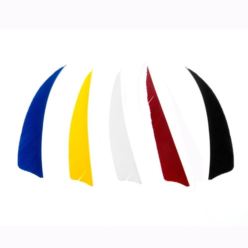 Archery 10 Pcs 4" Inch Shield Turkey Feathers Arrow Feather Fletching for Any Broadheads,Crossbows