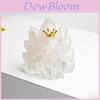 Natural Crystal Resin Crown Nine Tails Fox Desk Ornament For Home Office Decor Gift