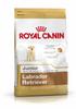 ROYAL CANIN SHN BREED LABRADOR JUNIOR 12KG