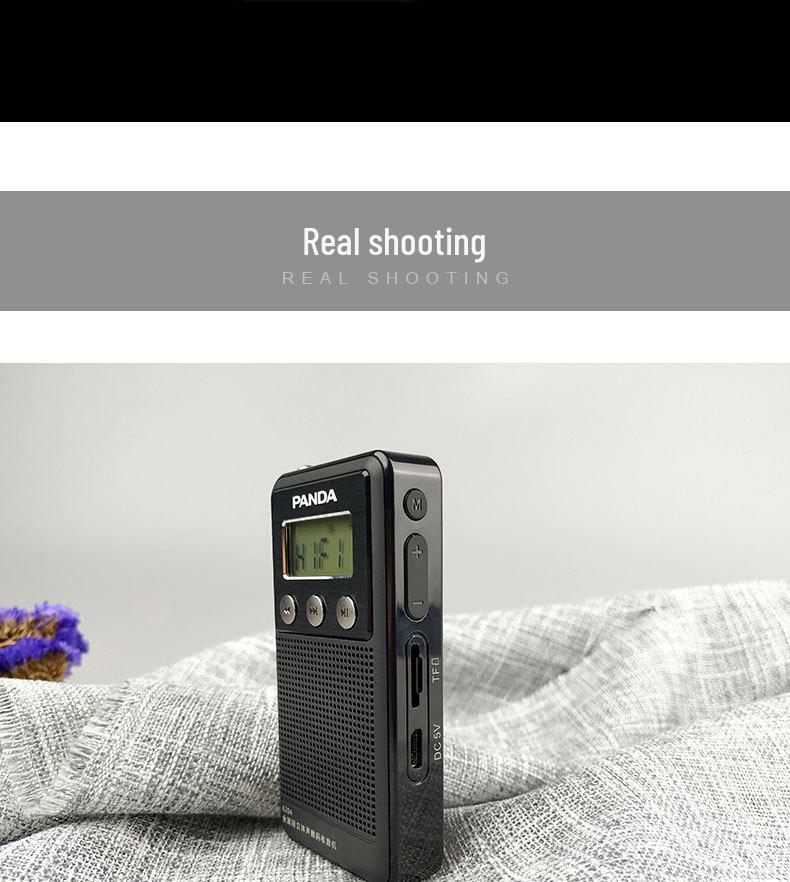 Panda 6204 Portable Full Band Radio for Seniors