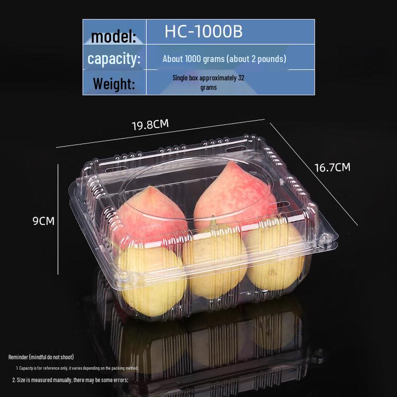 Disposable Transparent Plastic Takeout Container with Lid