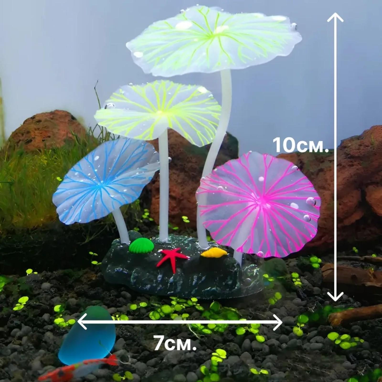 

Декор для аквариумных растений Трава Подводные Пластиковые Искусственные Водные Растения Украшения Аквариум Ландшафтное Оформление as show