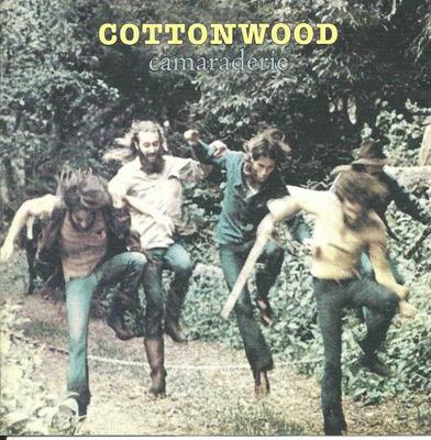 CD COTTONWOOD - Camaraderie WH90367 Walhalla 2006 Japan Rock Gebraucht