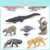 Crocodile Dolphin South American Animal Model Set Plastic Decor For Nature Enthusiasts
