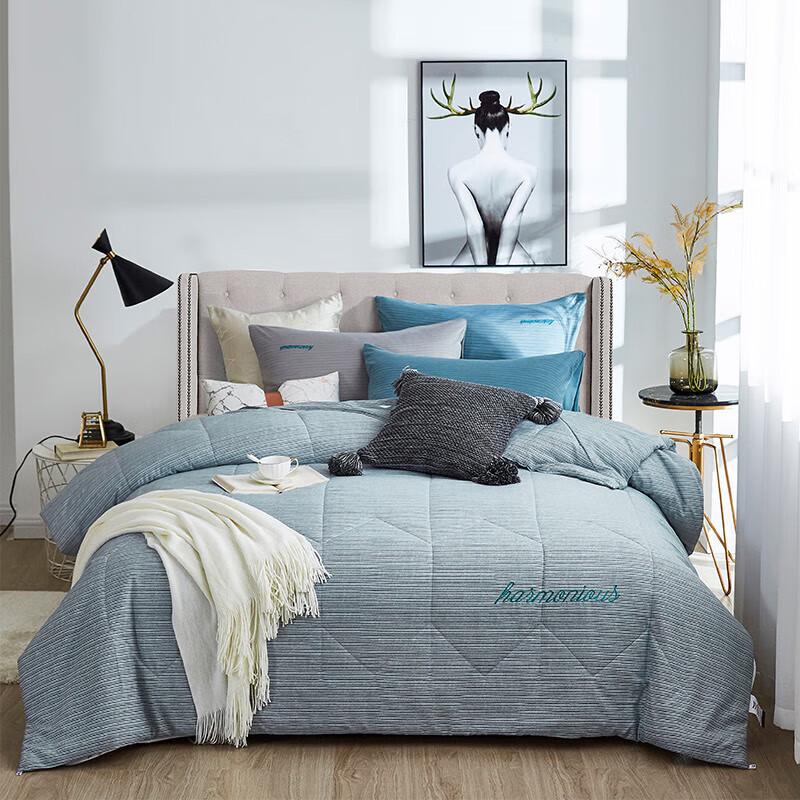 

Tianqin Jianshang Washable Soybean Fiber Summer Quilt