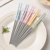 304 Stainless Steel Chopsticks  Five-color Adult Chopsticks  High Temperature Resistant Meal Chopsticks  Public Chopsticks