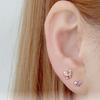 Choose one of three types of Petit Fly pins, surgical piercing cubic