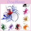 Grande Fascinator de Pena para Cabelo com Faixa para Casamentos e Eventos Especiais