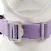Automatic Extendable Pet Collar  For Owners  Dog Collar Telescopic  Pet  Walking Rope
