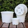 Transparent Gallon Flowerpot Plastic Planters Household Balcony Potted Plant Pot Root Control Breathable Seedling Nursery Pot
