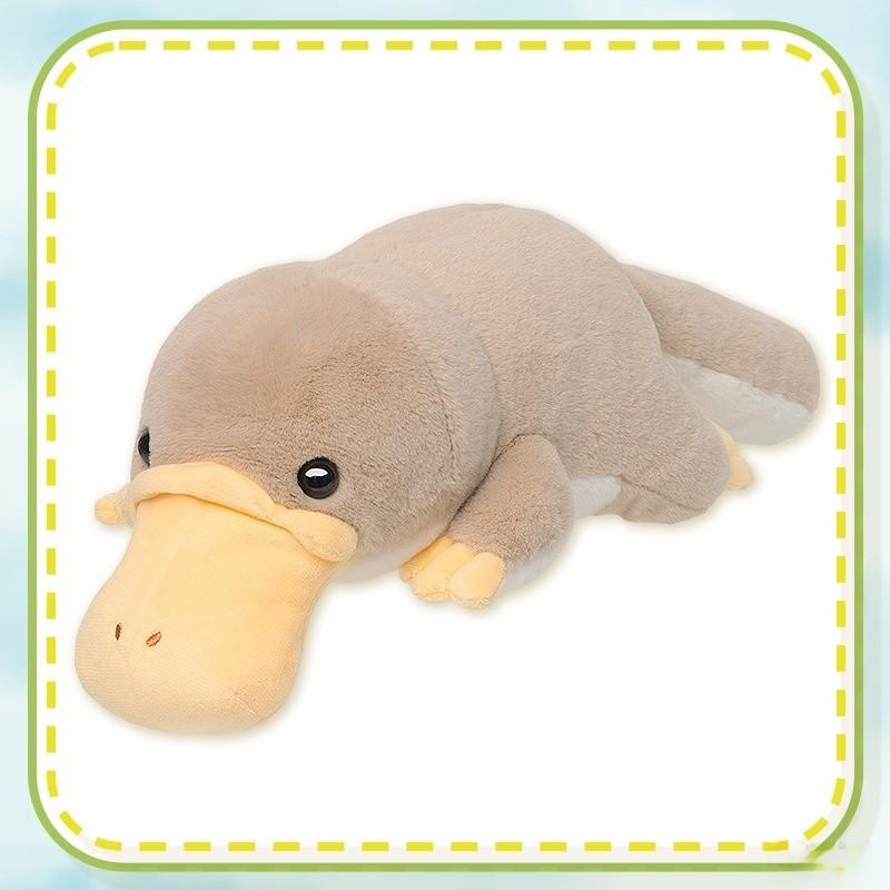 Platypus Plush Toy Animal Doll Duck Doll Holiday Gift Ornament Pp Filling Cotton