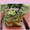 Garden Mini Landscape Pot With Resin Frog Decor For Living Room And Gift Occasion