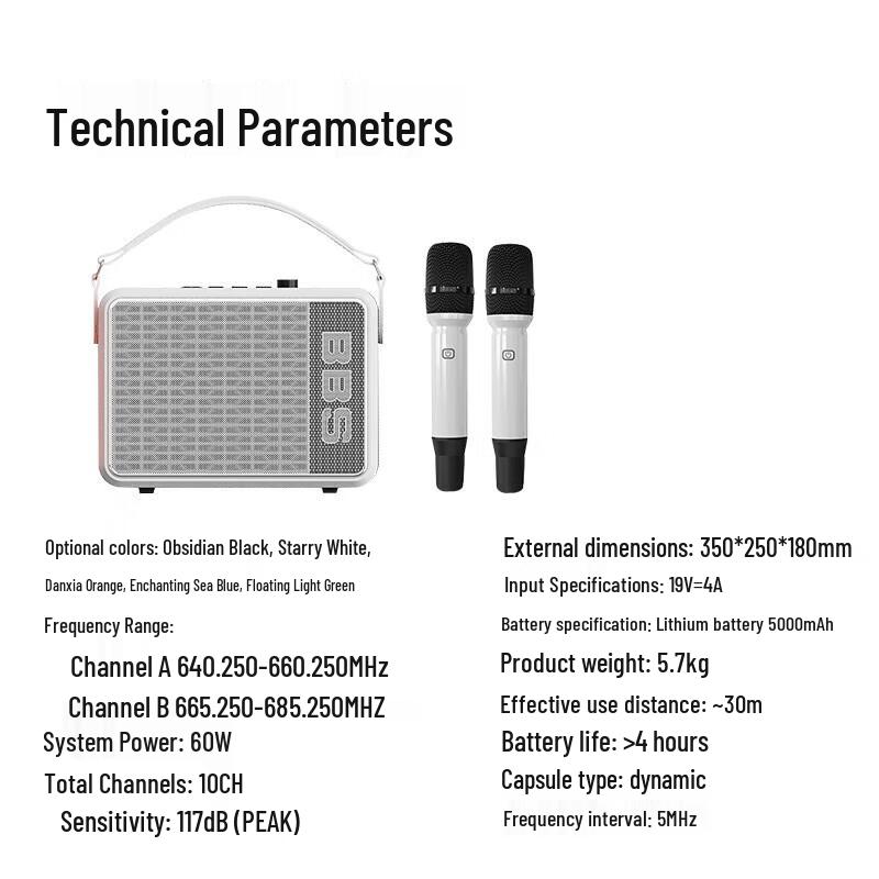 BBS P6 Portable KTV Speaker