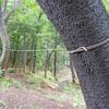 Bush Craft Tarp Rope, 6mm Tan