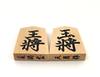 Yamagata Tendo Shogi Specially Dynamic Ryoko Paulownia Wood Box Pieces, Boxwood, Carved, Font,