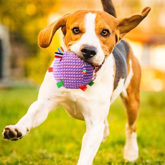 Dog Chew Ball Toy with Bell Bite Resistant Plush Ball Toy Pet Teething Cleaning Interactive Toy for Small Medium Large Breeds Dogs