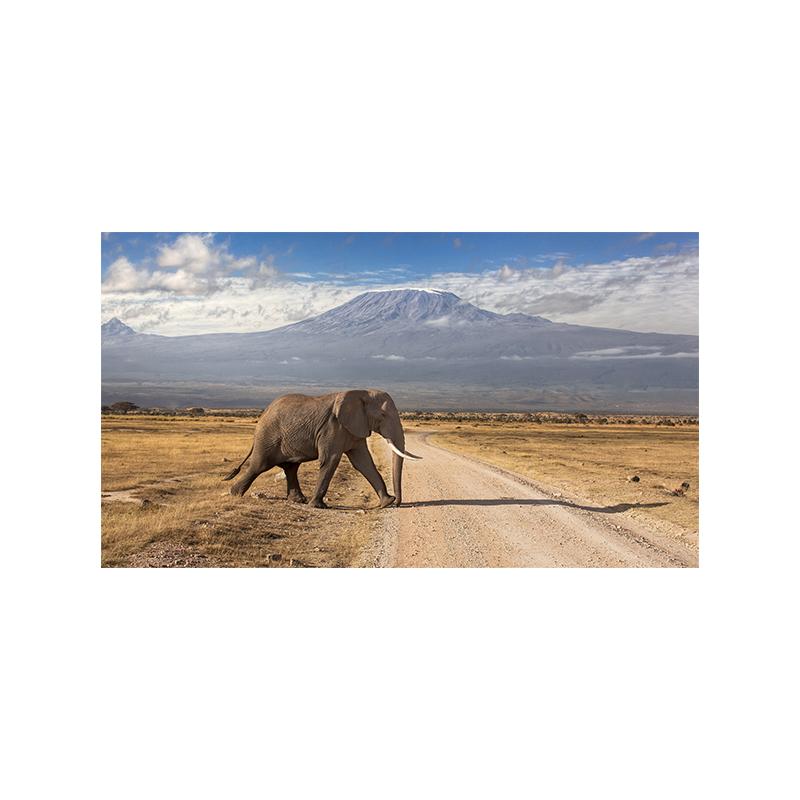 

Слон Фото Современное настенное искусство Печать на холсте Плакат Животное Леа Цветок Гора Природа Картина для гостиной Домашний декор Cuadros 21x30cm No Framed