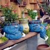 Woondecoratie – Bloempotten