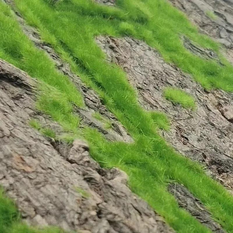 Wall Artificial Tree Bark Simulation Natural Fake Moss Plant Bark Pipe Pillar Cork Cover Balcon  Garden Decor Outdoor Decoration