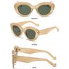 Trendy Eyewear Retro Sun Glasses Thick Frame Oversized Sunglasses Oval Sun Glasses