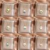 Elegant Oil Painting Bivalve Charm Necklace 10 Multicolored Artistic Designs Thin Metal Mixture Fashion Addition