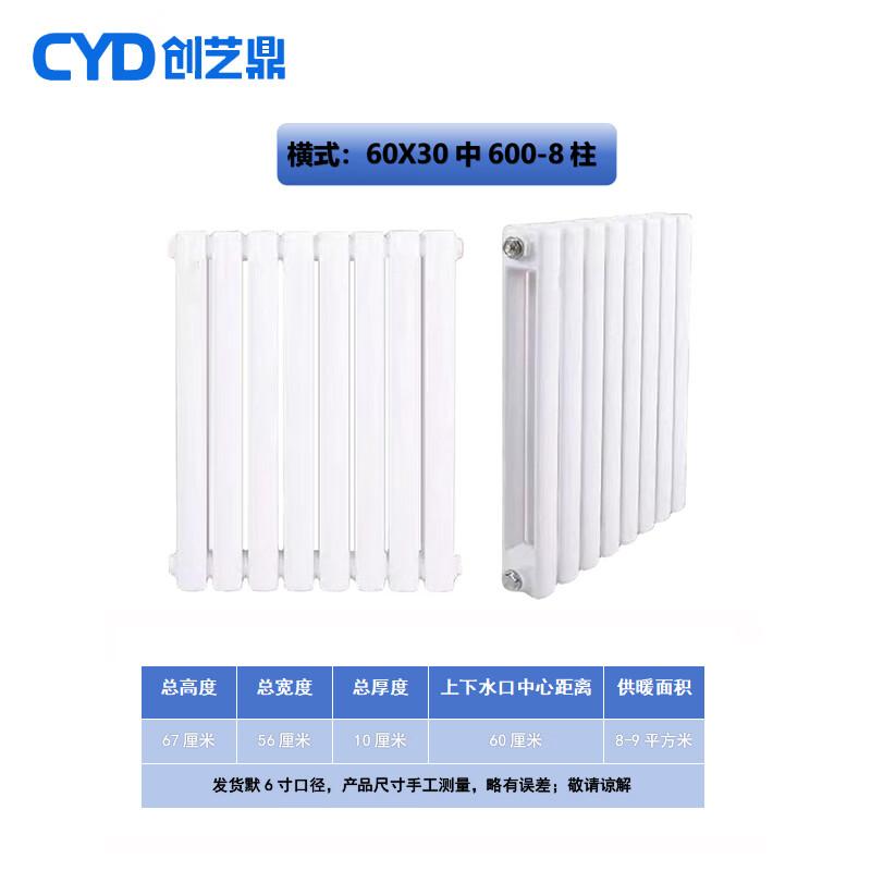 Chuang Yi Ding Steel 6030 Two-Column Hot Water Radiator