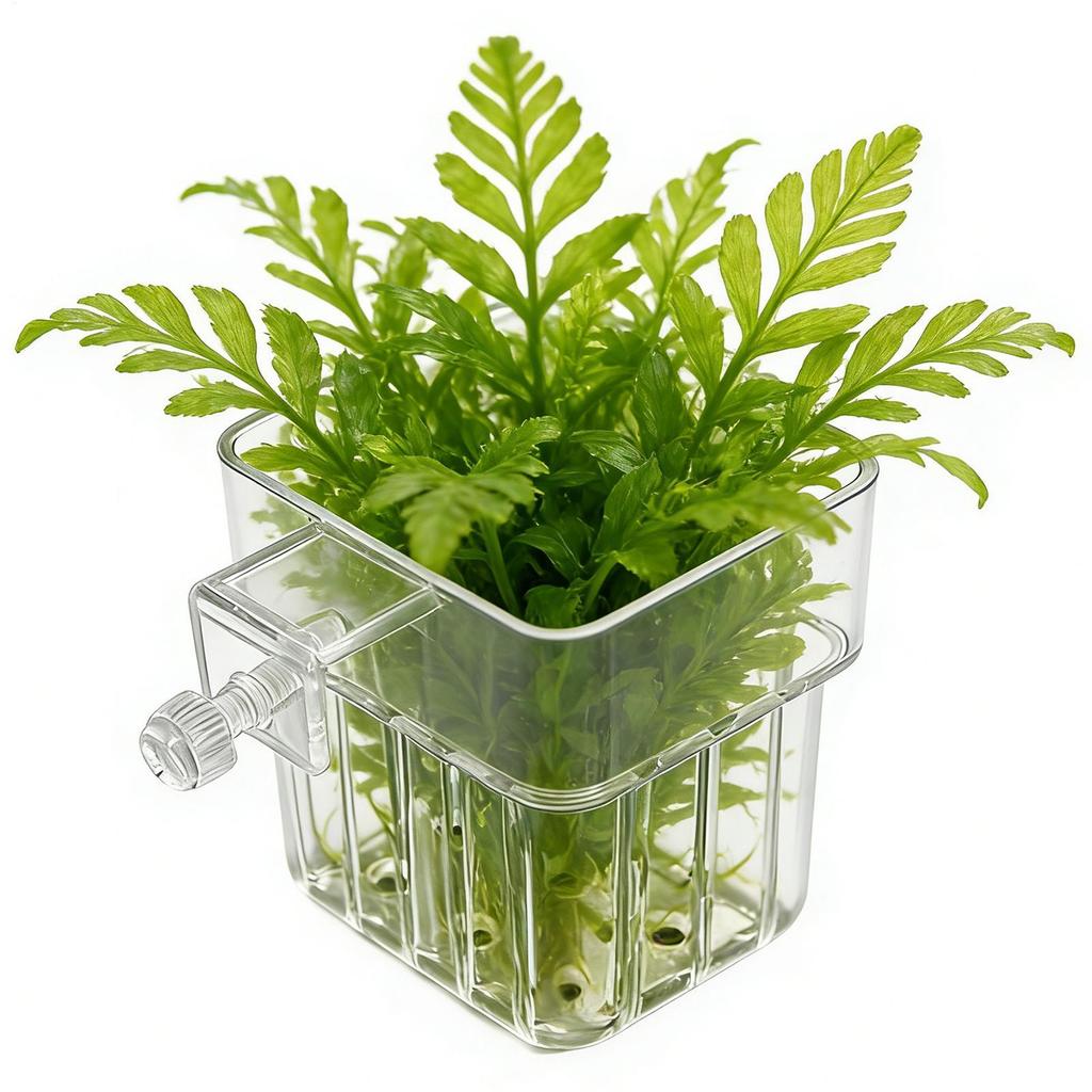 1pcs Plant Holder For Fish Tank Transparent Hangable Pot Cup Aquatic Plant Holder For Fish Tank Hydroponic System Indoor Home