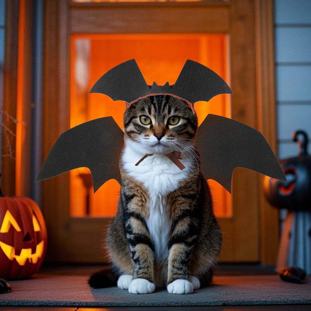 Cat Halloween Headwear Pet Bat Wings Dress Up Halloween Atmosphere Dress Up Pet Bat Set