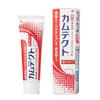 Camtect Gum Care Toothpaste, Prevents Periodontal Disease (Gingivitis and Pyorrhea), 115g (x 1)