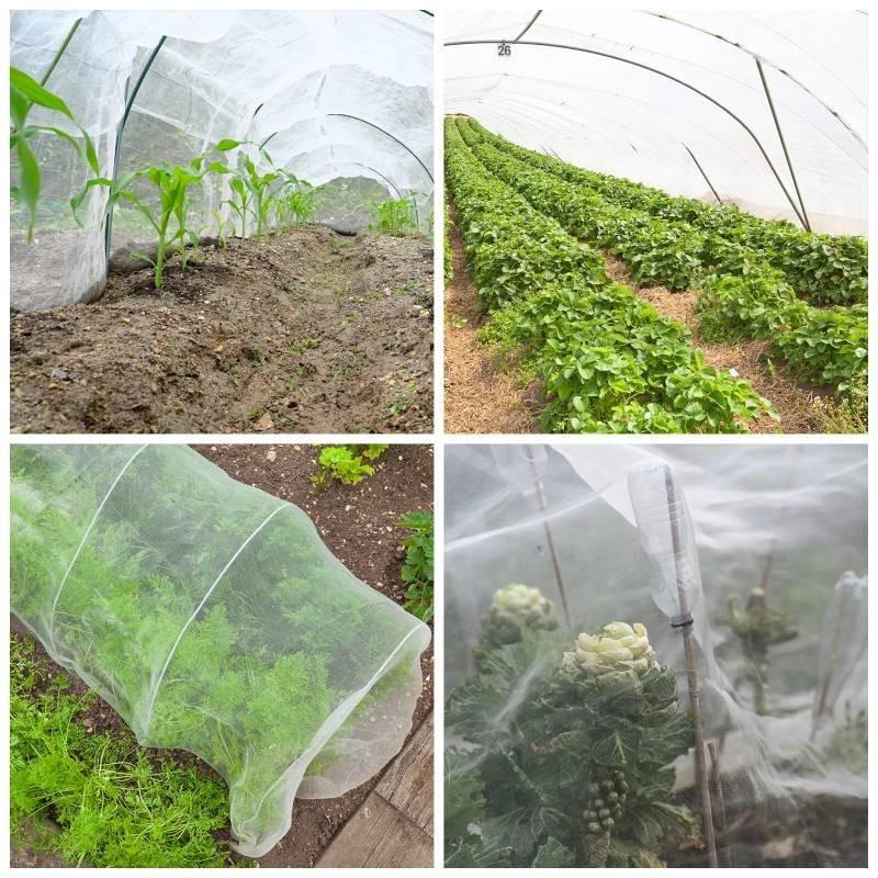 Garden Mesh Fine Protect Netting Vegetable Crop Plant Bird Insect Net Protection