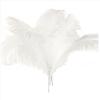 ABWR-80 Pcs Natural Ostrich Feathers Wedding Party Decoration White 45-50Cm