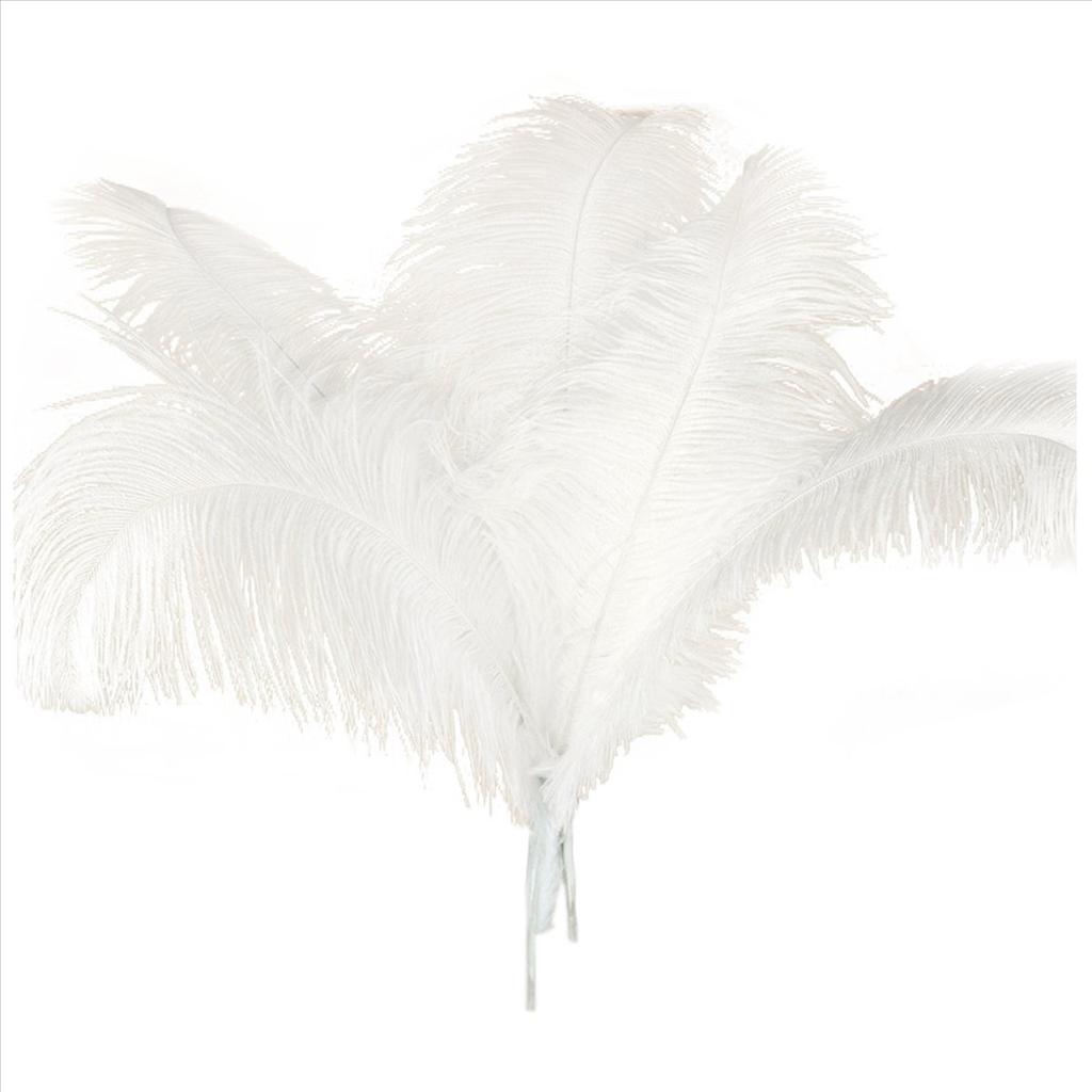ABWR-80 Pcs Natural Ostrich Feathers Wedding Party Decoration White 45-50Cm