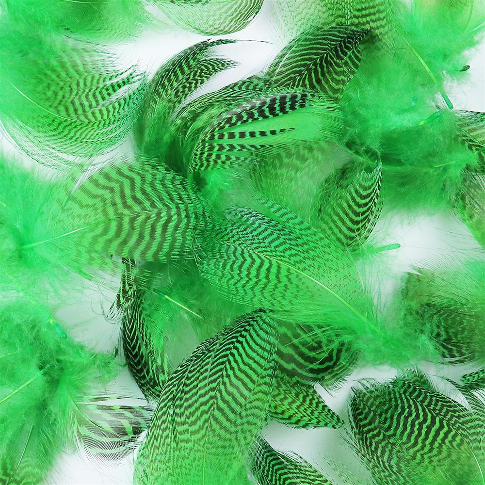 Duck Feather 50Pcs Black Stripe Goose Plumes Decoration For Crafts Artificial Feather 5-10Cm Green Soft Diy Supplies Accessories