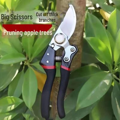 Versatile Pruning Shears for Gardening, Fruit Trees, Thick Branches, and Fruit Picking