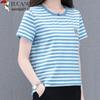 Woodpecker Women's Plus Size Striped Cotton Blend T-Shirt