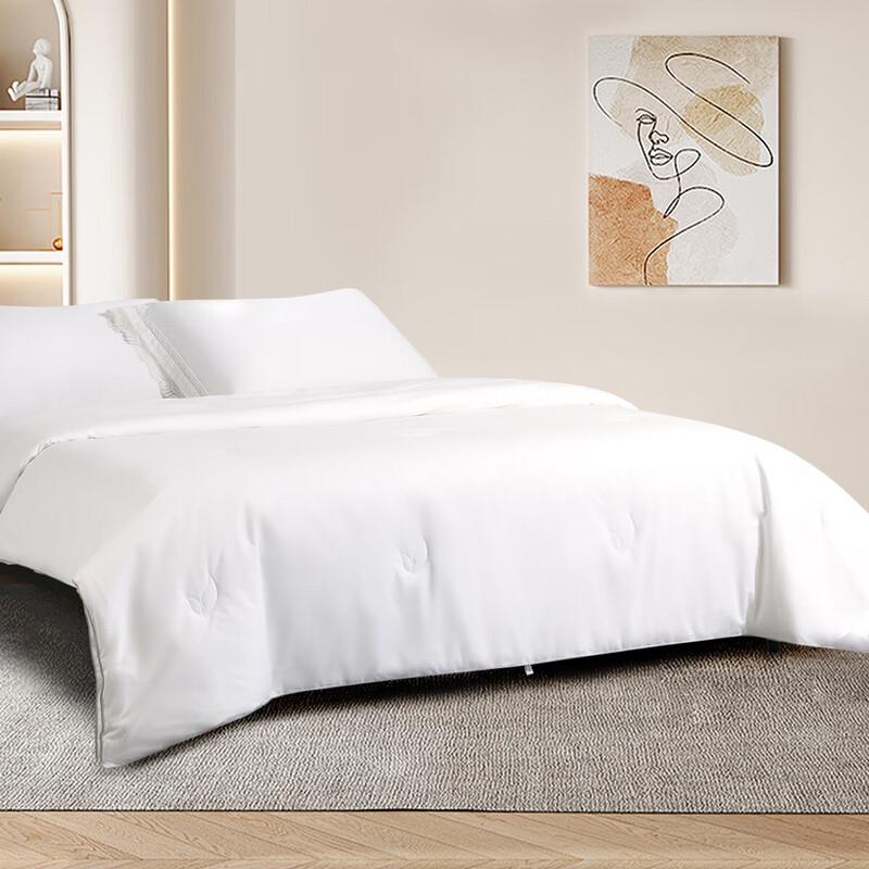 Mercury Home Textiles Cloud Enjoy Mulberry Silk Duo Quilt