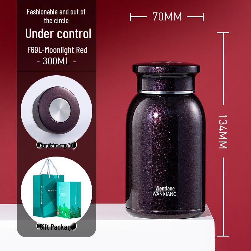 Vientiane Insulated Tea Infuser Mug