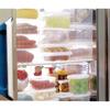 Iwasaki Industrial Fresh Keeper L Commercial Food Storage Container, 4L, with Rack, B-322 N