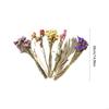 Decorative Colorful Dried Floral Bedding Set for Small Pet Creates Natural Flower Habitat