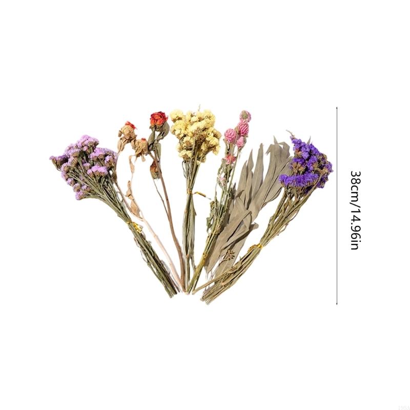 Decorative Colorful Dried Floral Bedding Set for Small Pet Creates Natural Flower Habitat