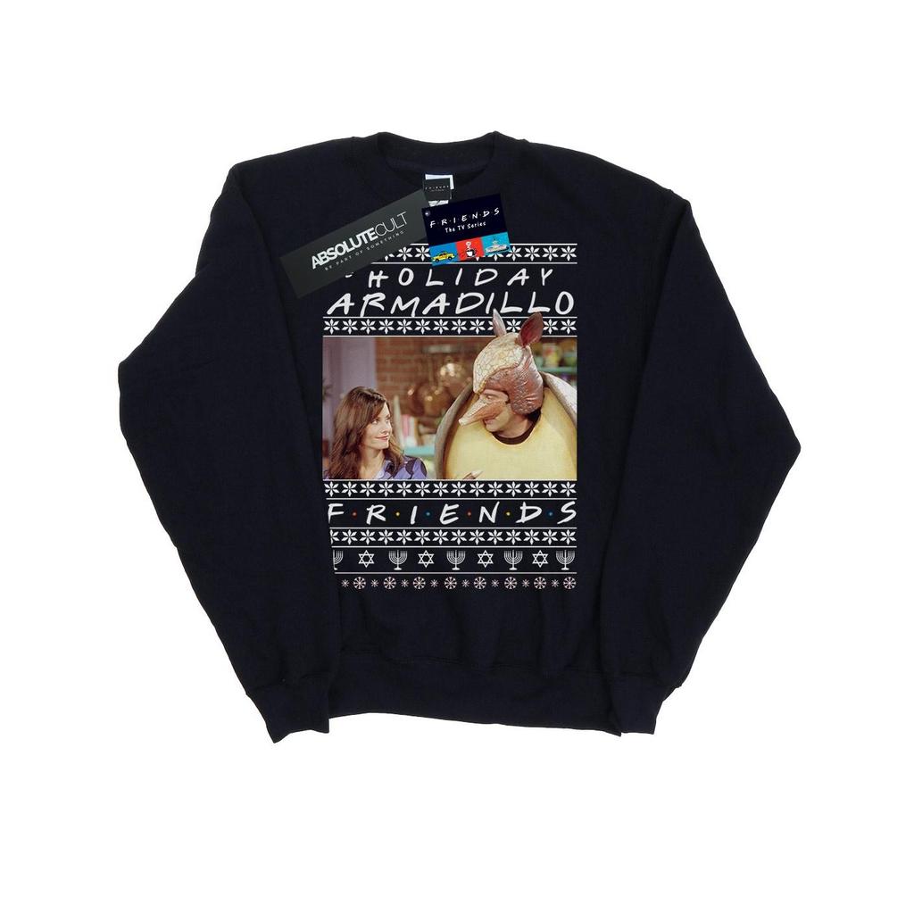 Friends Boys Fair Isle Holiday Armadillo Sweatshirt